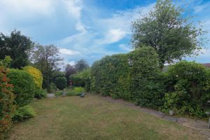 Photo 11- click for photo gallery